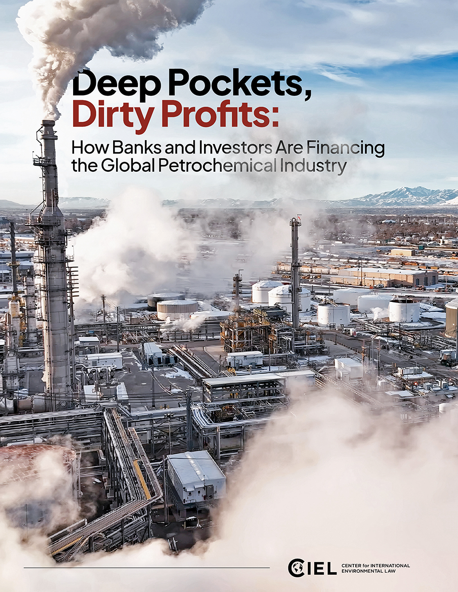 Cover Image for the Toxic Finance Report